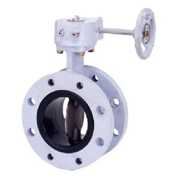 KITZ開滋齒輪操作式不銹鋼10K芯片型蝶形閥門G-10UHB-100A