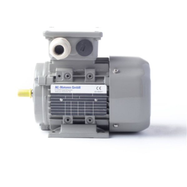 德國AC MOTOREN防火防爆電機E3-ASA 132 S 4